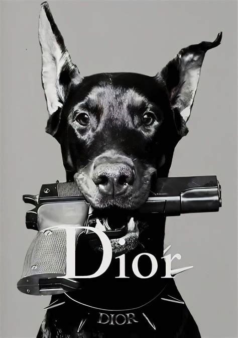 dior hund poster|christian dior dog.